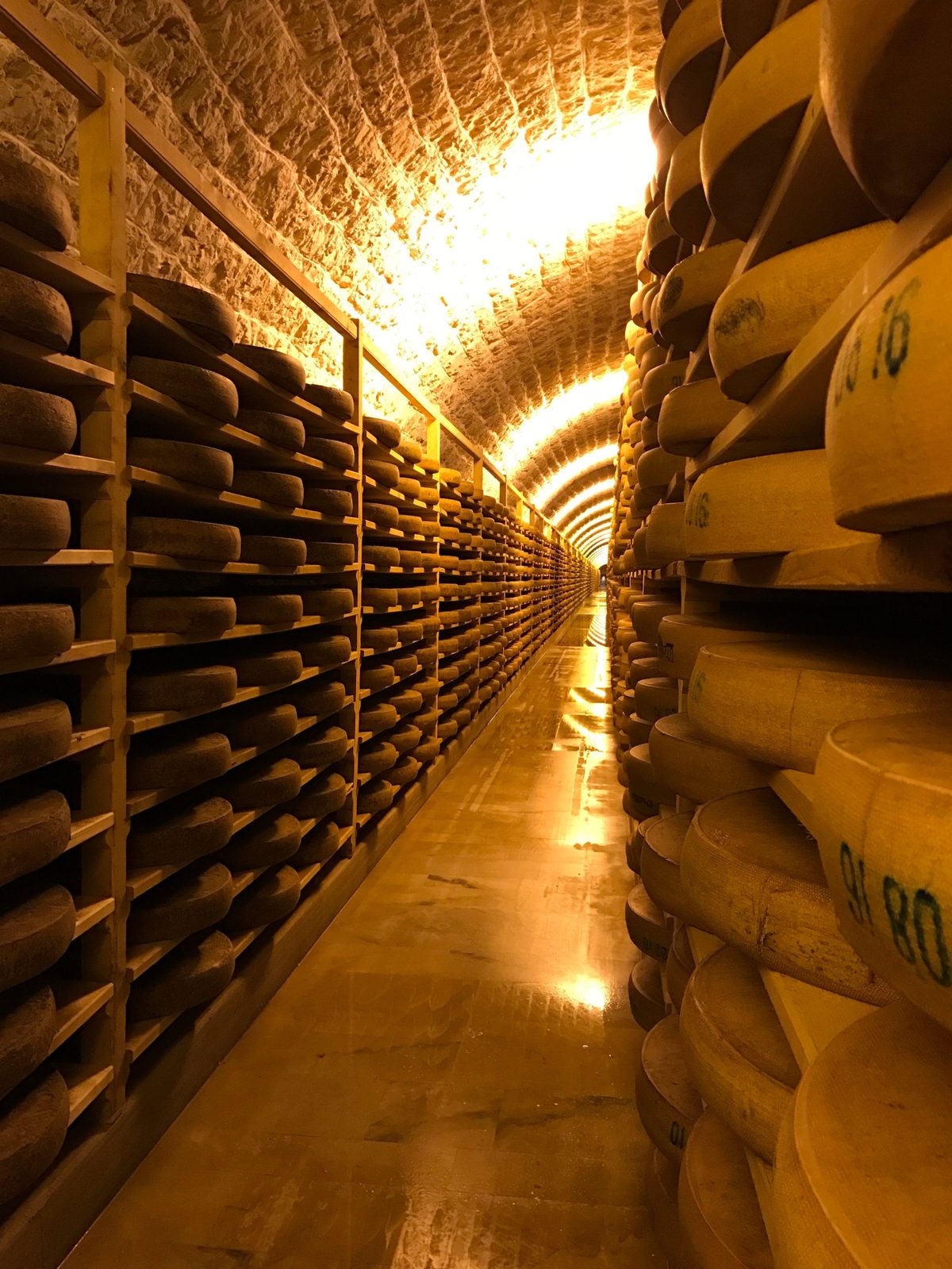 An aging room: rows of wheels on wooden shelves under a stone vault