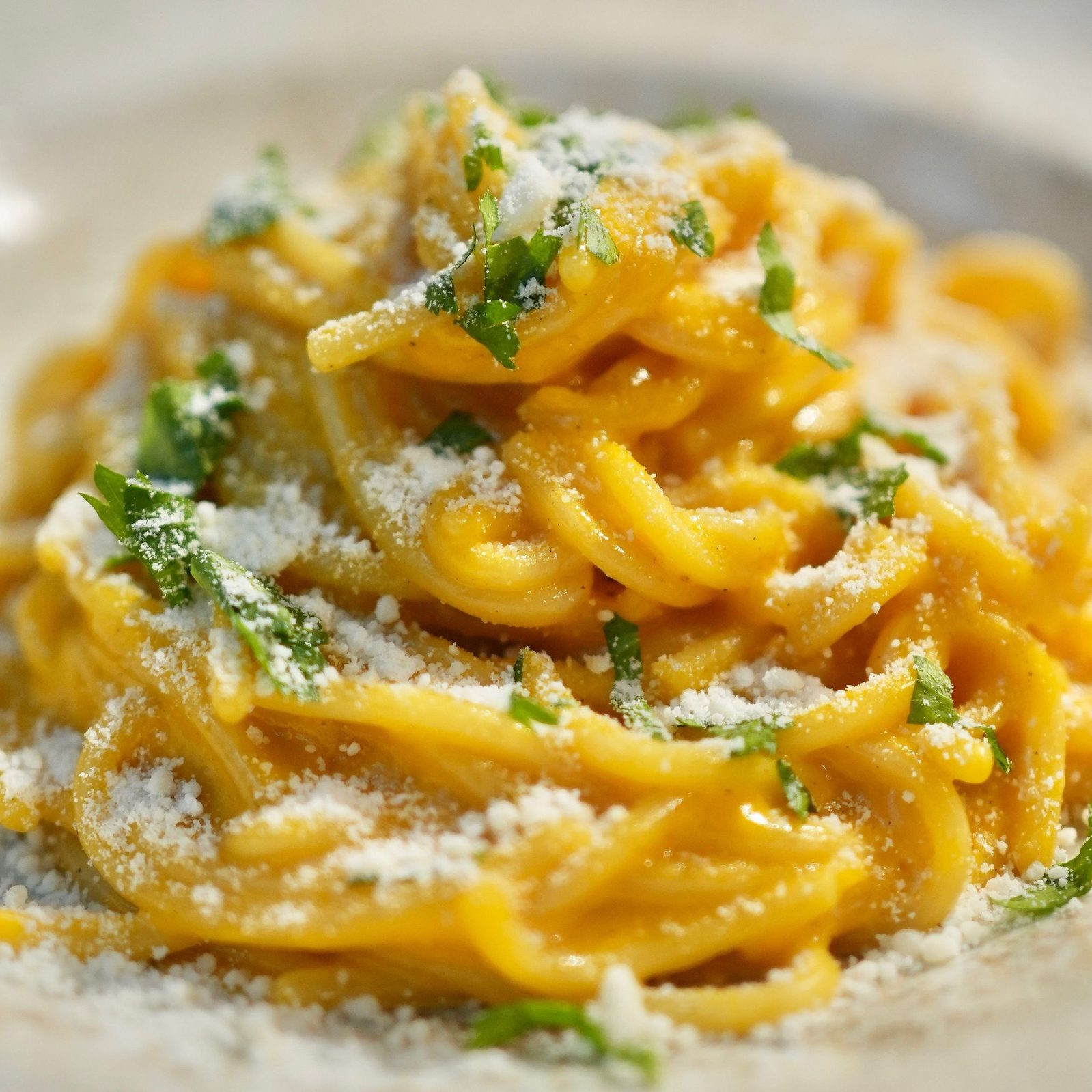 A plate of pasta dusted with grated Parmigiano Reggiano and parsley